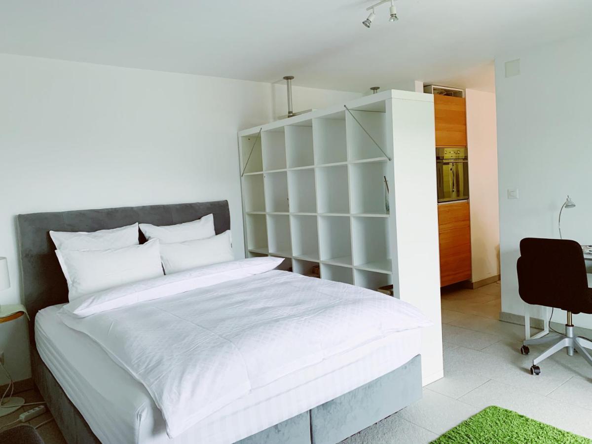 N1 Standalone House Baden Apartment Hertenstein Ngoại thất bức ảnh