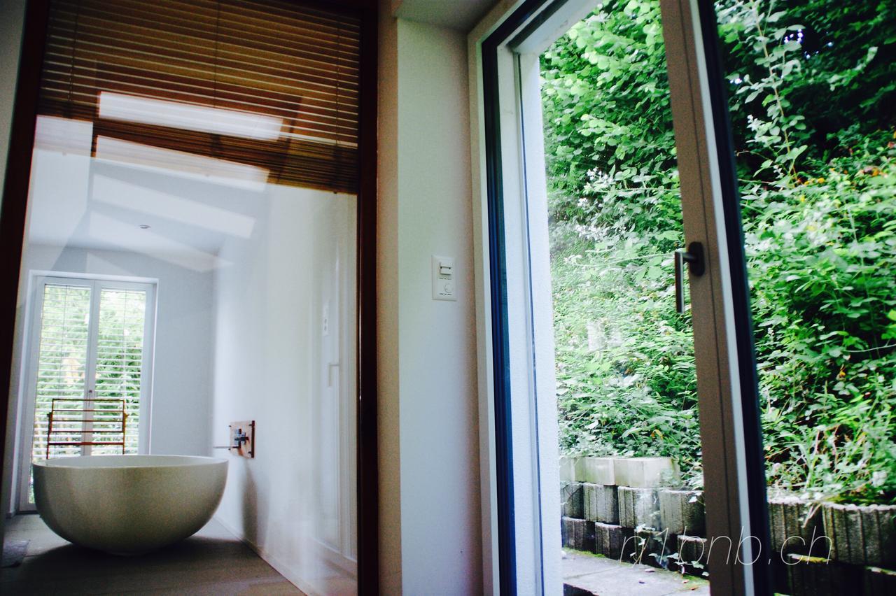 N1 Standalone House Baden Apartment Hertenstein Ngoại thất bức ảnh