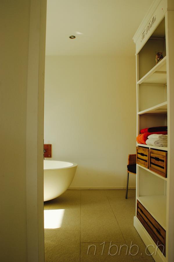 N1 Standalone House Baden Apartment Hertenstein Ngoại thất bức ảnh